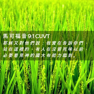 Picture 02 - 馬 可 福 音 9:1 CUVT - 耶 穌 又 對 他 們 說 ： 我 實 在 告 - Bible Verse Picture