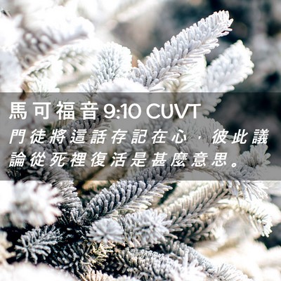Picture 02 - 馬 可 福 音 9:10 CUVT - 門 徒 將 這 話 存 記 在 心 ， 彼 此 - Bible Verse Picture