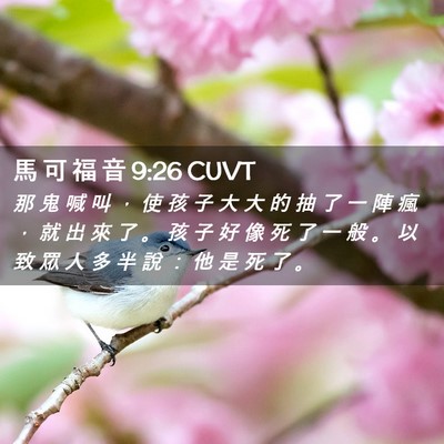 Picture 02 - 馬 可 福 音 9:26 CUVT - 那 鬼 喊 叫 ， 使 孩 子 大 大 的 抽 - Bible Verse Picture