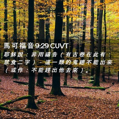 Picture 02 - 馬 可 福 音 9:29 CUVT - 耶 穌 說 ： 非 用 禱 告 （ 有 古 卷 - Bible Verse Picture