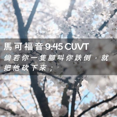 Picture 02 - 馬 可 福 音 9:45 CUVT - 倘 若 你 一 隻 腳 叫 你 跌 倒 ， 就 - Bible Verse Picture