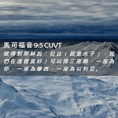 Picture 02 - 馬 可 福 音 9:5 CUVT - 彼 得 對 耶 穌 說 ： 拉 比 （ 就 是 - Bible Verse Picture