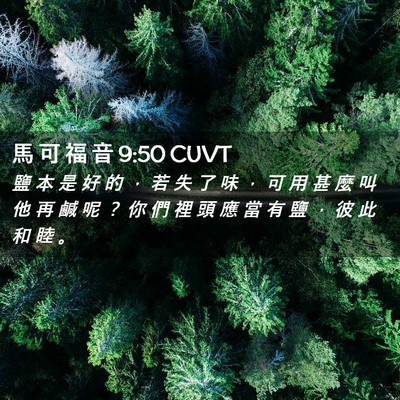 Picture 02 - 馬 可 福 音 9:50 CUVT - 鹽 本 是 好 的 ， 若 失 了 味 ， 可 - Bible Verse Picture