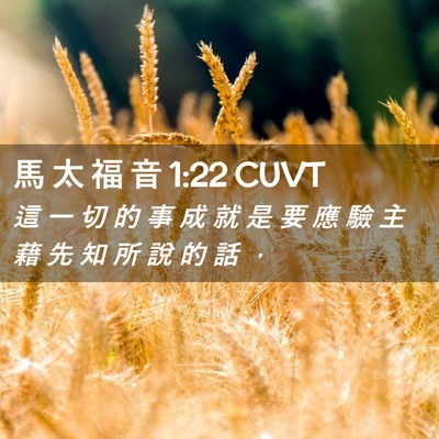 Picture 02 - 馬 太 福 音 1:22 CUVT - 這 一 切 的 事 成 就 是 要 應 驗 主 - Bible Verse Picture