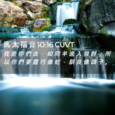 Picture 02 - 馬 太 福 音 10:16 CUVT - 我 差 你 們 去 ， 如 同 羊 進 入 狼 - Bible Verse Picture