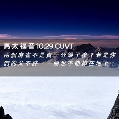 Picture 02 - 馬 太 福 音 10:29 CUVT - 兩 個 麻 雀 不 是 賣 一 分 銀 子 麼 - Bible Verse Picture