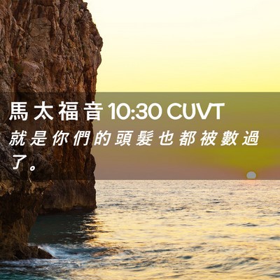 Picture 02 - 馬 太 福 音 10:30 CUVT - 就 是 你 們 的 頭 髮 也 都 被 數 過 - Bible Verse Picture