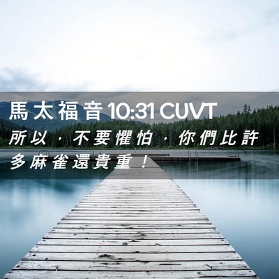 Picture 02 - 馬 太 福 音 10:31 CUVT - 所 以 ， 不 要 懼 怕 ， 你 們 比 許 - Bible Verse Picture