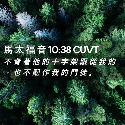 Picture 02 - 馬 太 福 音 10:38 CUVT - 不 背 著 他 的 十 字 架 跟 從 我 的 - Bible Verse Picture