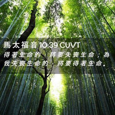 Picture 02 - 馬 太 福 音 10:39 CUVT - 得 著 生 命 的 ， 將 要 失 喪 生 命 - Bible Verse Picture