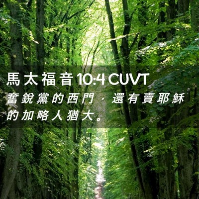 Picture 02 - 馬 太 福 音 10:4 CUVT - 奮 銳 黨 的 西 門 ， 還 有 賣 耶 穌 - Bible Verse Picture