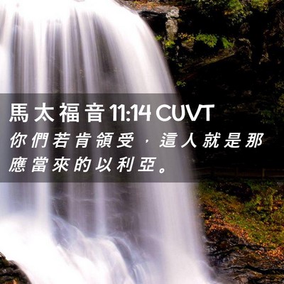 Picture 02 - 馬 太 福 音 11:14 CUVT - 你 們 若 肯 領 受 ， 這 人 就 是 那 - Bible Verse Picture