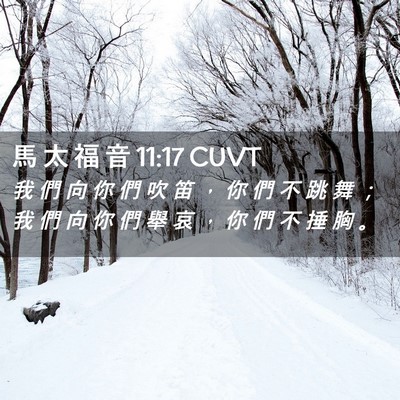 Picture 02 - 馬 太 福 音 11:17 CUVT - 我 們 向 你 們 吹 笛 ， 你 們 不 跳 - Bible Verse Picture