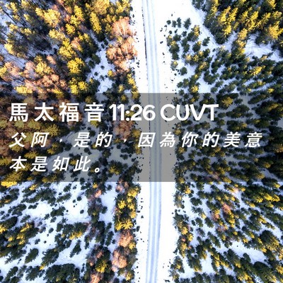 Picture 02 - 馬 太 福 音 11:26 CUVT - 父 阿 ， 是 的 ， 因 為 你 的 美 意 - Bible Verse Picture