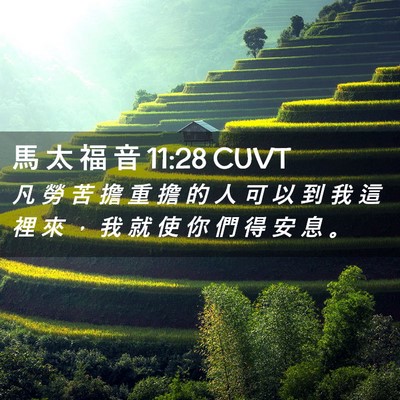 Picture 02 - 馬 太 福 音 11:28 CUVT - 凡 勞 苦 擔 重 擔 的 人 可 以 到 我 - Bible Verse Picture