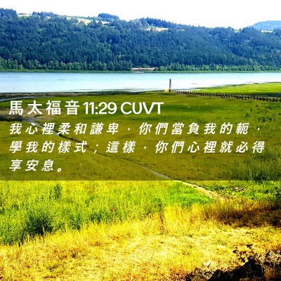 Picture 02 - 馬 太 福 音 11:29 CUVT - 我 心 裡 柔 和 謙 卑 ， 你 們 當 負 - Bible Verse Picture