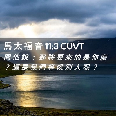 Picture 02 - 馬 太 福 音 11:3 CUVT - 問 他 說 ： 那 將 要 來 的 是 你 麼 - Bible Verse Picture