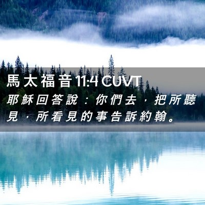 Picture 02 - 馬 太 福 音 11:4 CUVT - 耶 穌 回 答 說 ： 你 們 去 ， 把 所 - Bible Verse Picture