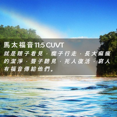 Picture 02 - 馬 太 福 音 11:5 CUVT - 就 是 瞎 子 看 見 ， 瘸 子 行 走 ， - Bible Verse Picture