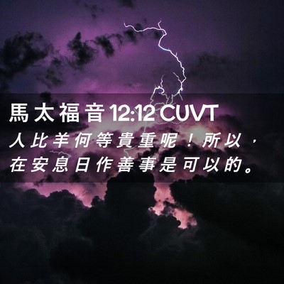 Picture 02 - 馬 太 福 音 12:12 CUVT - 人 比 羊 何 等 貴 重 呢 ！ 所 以 ， - Bible Verse Picture
