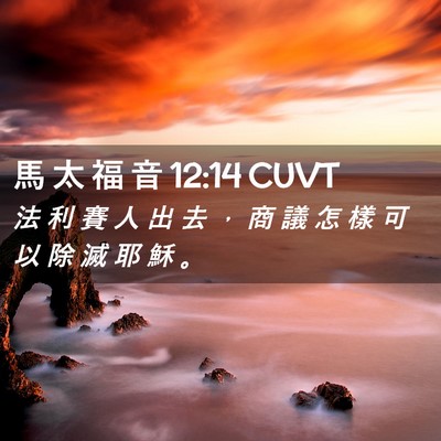 Picture 02 - 馬 太 福 音 12:14 CUVT - 法 利 賽 人 出 去 ， 商 議 怎 樣 可 - Bible Verse Picture