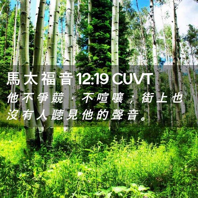 Picture 02 - 馬 太 福 音 12:19 CUVT - 他 不 爭 競 ， 不 喧 嚷 ； 街 上 也 - Bible Verse Picture