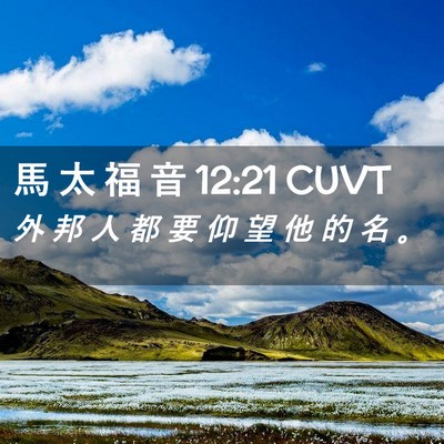 Picture 02 - 馬 太 福 音 12:21 CUVT - 外 邦 人 都 要 仰 望 他 的 名 - Bible Verse Picture
