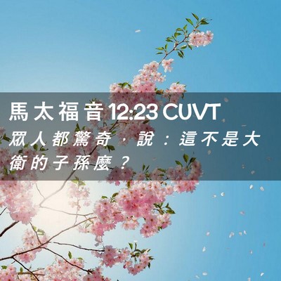 Picture 02 - 馬 太 福 音 12:23 CUVT - 眾 人 都 驚 奇 ， 說 ： 這 不 是 大 - Bible Verse Picture