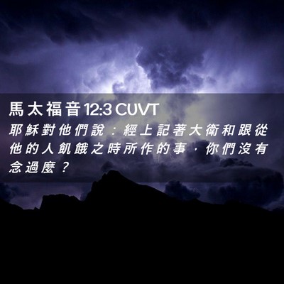 Picture 02 - 馬 太 福 音 12:3 CUVT - 耶 穌 對 他 們 說 ： 經 上 記 著 大 - Bible Verse Picture
