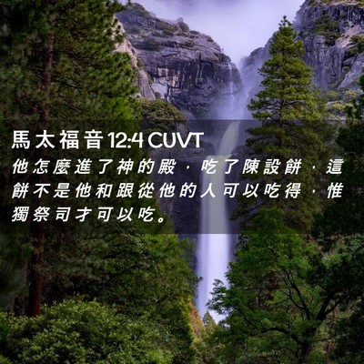 Picture 02 - 馬 太 福 音 12:4 CUVT - 他 怎 麼 進 了 神 的 殿 ， 吃 了 陳 - Bible Verse Picture