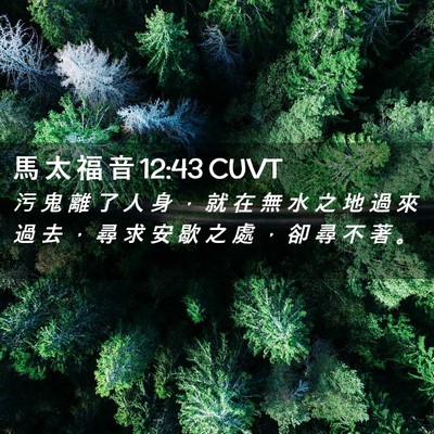 Picture 02 - 馬 太 福 音 12:43 CUVT - 污 鬼 離 了 人 身 ， 就 在 無 水 之 - Bible Verse Picture