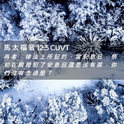 Picture 02 - 馬 太 福 音 12:5 CUVT - 再 者 ， 律 法 上 所 記 的 ， 當 安 - Bible Verse Picture
