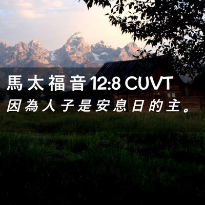 Picture 02 - 馬 太 福 音 12:8 CUVT - 因 為 人 子 是 安 息 日 的 主 - Bible Verse Picture