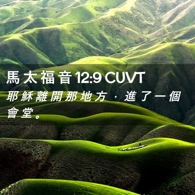 Picture 02 - 馬 太 福 音 12:9 CUVT - 耶 穌 離 開 那 地 方 ， 進 了 一 個 - Bible Verse Picture