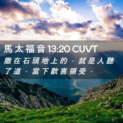Picture 02 - 馬 太 福 音 13:20 CUVT - 撒 在 石 頭 地 上 的 ， 就 是 人 聽 - Bible Verse Picture