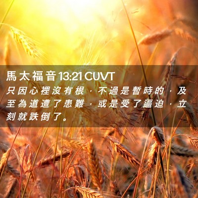 Picture 02 - 馬 太 福 音 13:21 CUVT - 只 因 心 裡 沒 有 根 ， 不 過 是 暫 - Bible Verse Picture