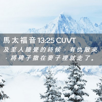 Picture 02 - 馬 太 福 音 13:25 CUVT - 及 至 人 睡 覺 的 時 候 ， 有 仇 敵 - Bible Verse Picture