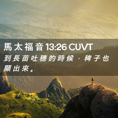 Picture 02 - 馬 太 福 音 13:26 CUVT - 到 長 苗 吐 穗 的 時 候 ， 稗 子 也 - Bible Verse Picture