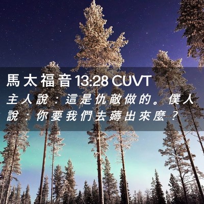 Picture 02 - 馬 太 福 音 13:28 CUVT - 主 人 說 ： 這 是 仇 敵 做 的 。 僕 - Bible Verse Picture
