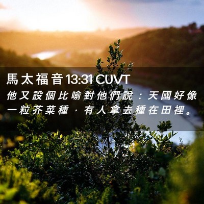 Picture 02 - 馬 太 福 音 13:31 CUVT - 他 又 設 個 比 喻 對 他 們 說 ： 天 - Bible Verse Picture