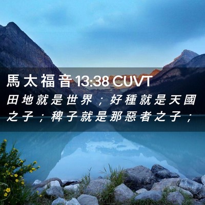 Picture 02 - 馬 太 福 音 13:38 CUVT - 田 地 就 是 世 界 ； 好 種 就 是 天 - Bible Verse Picture