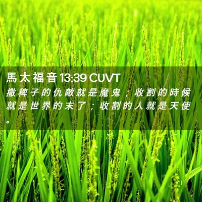 Picture 02 - 馬 太 福 音 13:39 CUVT - 撒 稗 子 的 仇 敵 就 是 魔 鬼 ； 收 - Bible Verse Picture