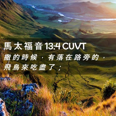 Picture 02 - 馬 太 福 音 13:4 CUVT - 撒 的 時 候 ， 有 落 在 路 旁 的 ， - Bible Verse Picture