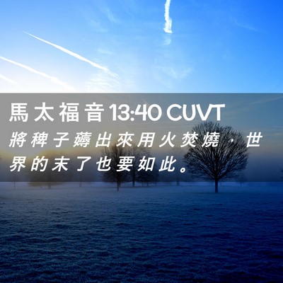 Picture 02 - 馬 太 福 音 13:40 CUVT - 將 稗 子 薅 出 來 用 火 焚 燒 ， 世 - Bible Verse Picture
