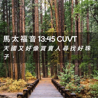Picture 02 - 馬 太 福 音 13:45 CUVT - 天 國 又 好 像 買 賣 人 尋 找 好 珠 - Bible Verse Picture