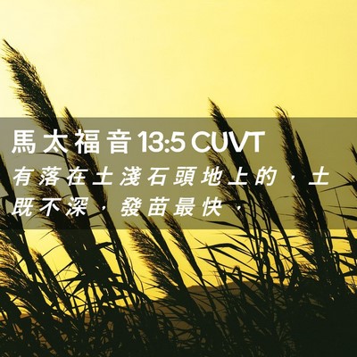 Picture 02 - 馬 太 福 音 13:5 CUVT - 有 落 在 土 淺 石 頭 地 上 的 ， 土 - Bible Verse Picture