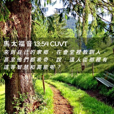 Picture 02 - 馬 太 福 音 13:54 CUVT - 來 到 自 己 的 家 鄉 ， 在 會 堂 裡 - Bible Verse Picture