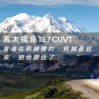 Picture 02 - 馬 太 福 音 13:7 CUVT - 有 落 在 荊 棘 裡 的 ， 荊 棘 長 起 - Bible Verse Picture