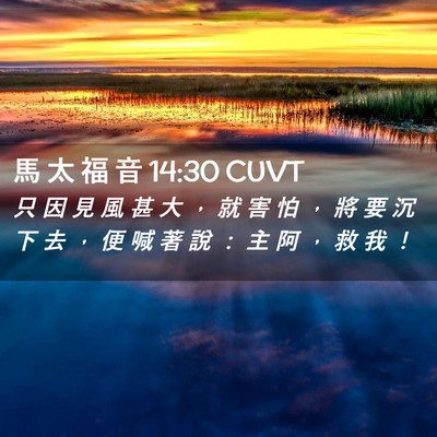 Picture 02 - 馬 太 福 音 14:30 CUVT - 只 因 見 風 甚 大 ， 就 害 怕 ， 將 - Bible Verse Picture