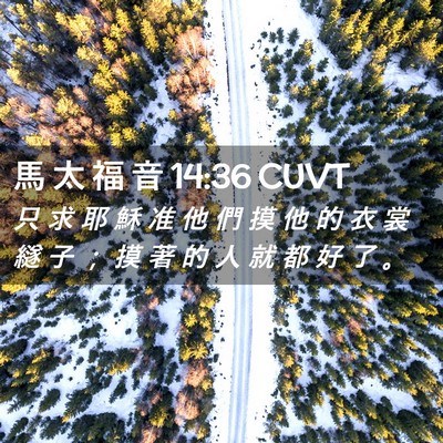 Picture 02 - 馬 太 福 音 14:36 CUVT - 只 求 耶 穌 准 他 們 摸 他 的 衣 裳 - Bible Verse Picture